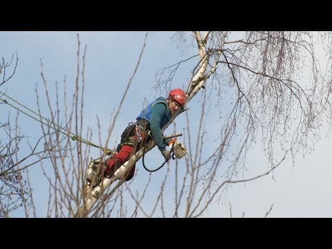 Video: Co jsou léky nulového řádu?