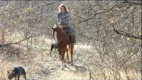 Valley View Ranch - Elliot -   ***For info, price, etc., go to our website***