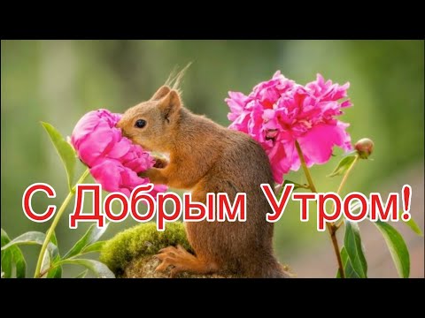 Пусть В Душе Живёт Мир и Гармония! 🌺Пожелание Для Друзей! Музыка Сергей Чекалин!