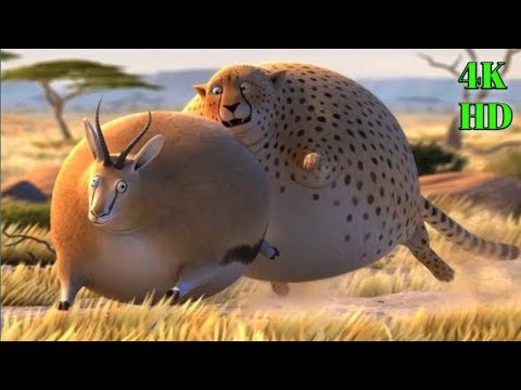 Video: Fat animals - what do we know about them?