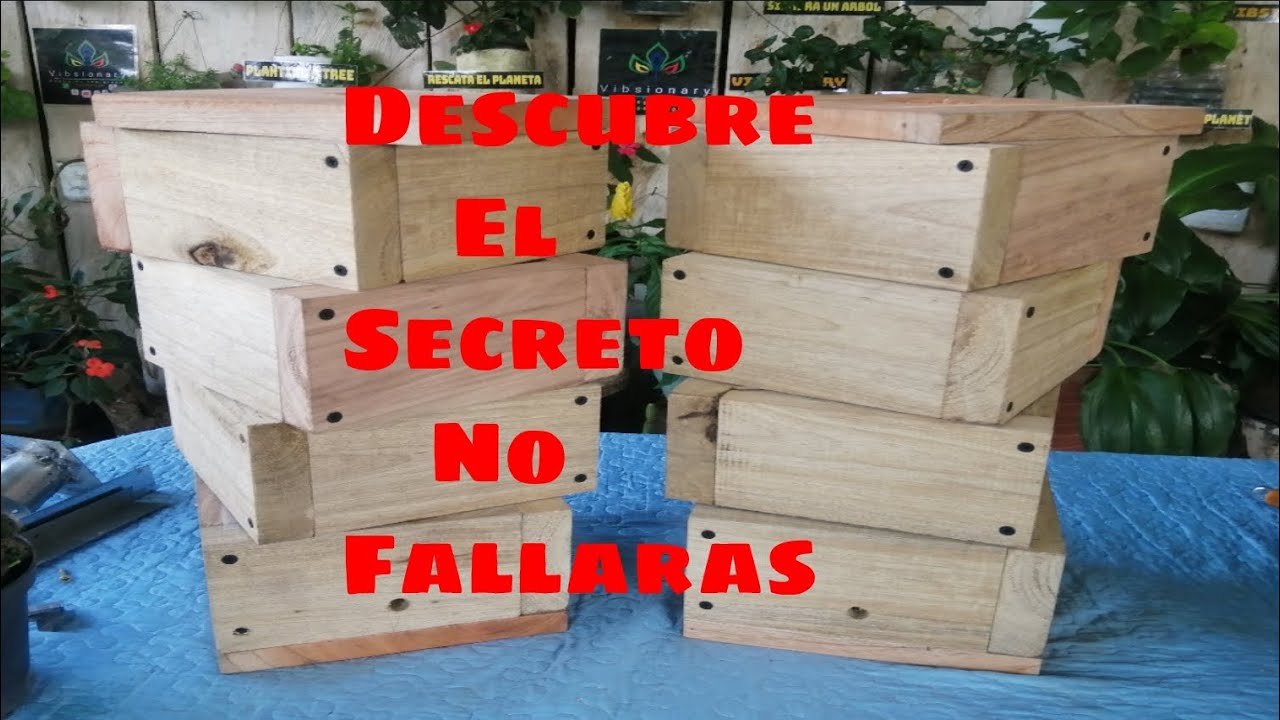 medidas para cajas eburnea boque sapo, como hacer división o trasiego