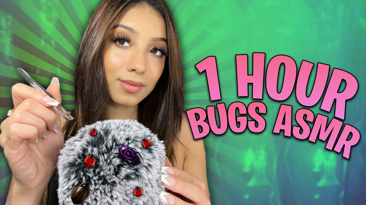 Асмр 1 час. Bugs ASMR.