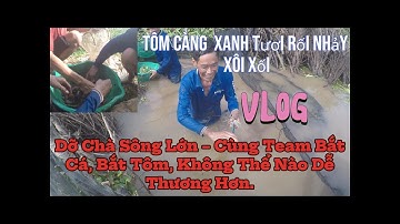 Dỡ Chà Bắt Cá Bắt Tôm,Ngắm Sông Lớn Và Mẻ Cá Tôm Đầy Nhìn Sướng Tê Cả Người#duongtrunghieu official#