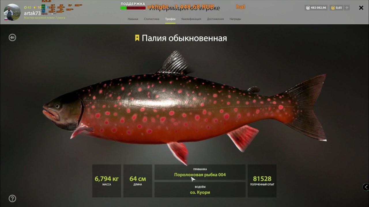 Поймали огромную палию. - YouTube