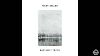 Markus Masuhr - Subtle Echo Fields [Insectorama] | Dub Techno Selections