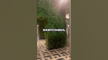 Stop Scrolling! Time to Hustle for Your Dreams!