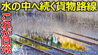 【驚愕】すごい光景が見られる貨物ヤードを見に行きました。
