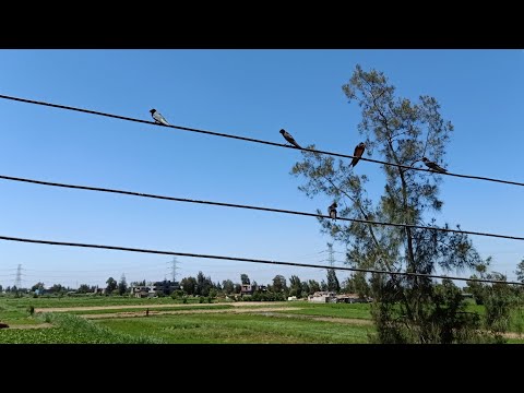 منظر قمة الروعة والجمال في الصباح الباكر 