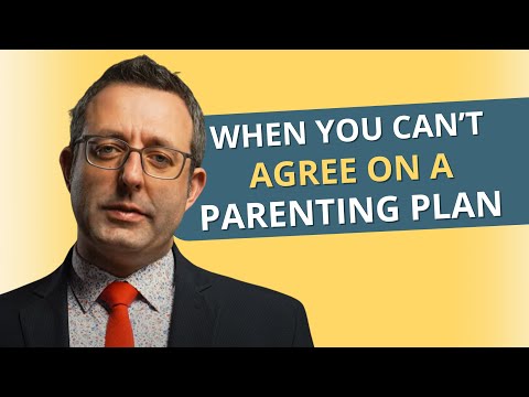 What does the word "Custody" mean in Illinois?  Illinois custody rights explained.