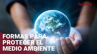 Las formas en que se puede ayudar a proteger el medio ambiente