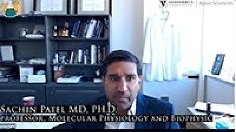 What’s the Difference Between Marijuana, CBD, and Delta 8?