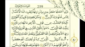 سورة ابراهيم الشيخ علي الحذيفي رواية قالون