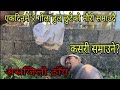 असजिलो ठाउँ बाट मौरी समाउने कसरी?#farming #beekeeping