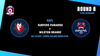 LIVE QAFL ROUND 8 - Surfers Paradise v Wilston Grange