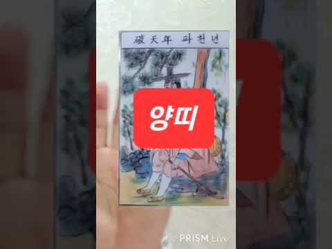 양띠 오늘의운세 2024년9월19일 목요일 운세 총운 #<strong>2024년운세</strong> #운세 #오늘의운세