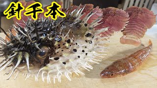 珍しいエビとトゲだらけの魚を食う！！