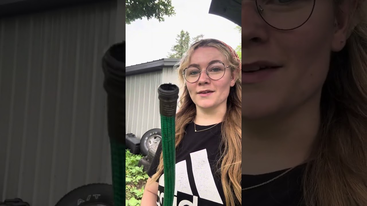 Low maintenance chicken setup and feed cost breakdown pt 1