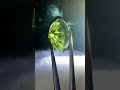 龍彩~ 馬眼花式鑽切💎&mdash;大捷克隕石戒面 26.55克拉