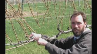 Balanced VSP Pruning
