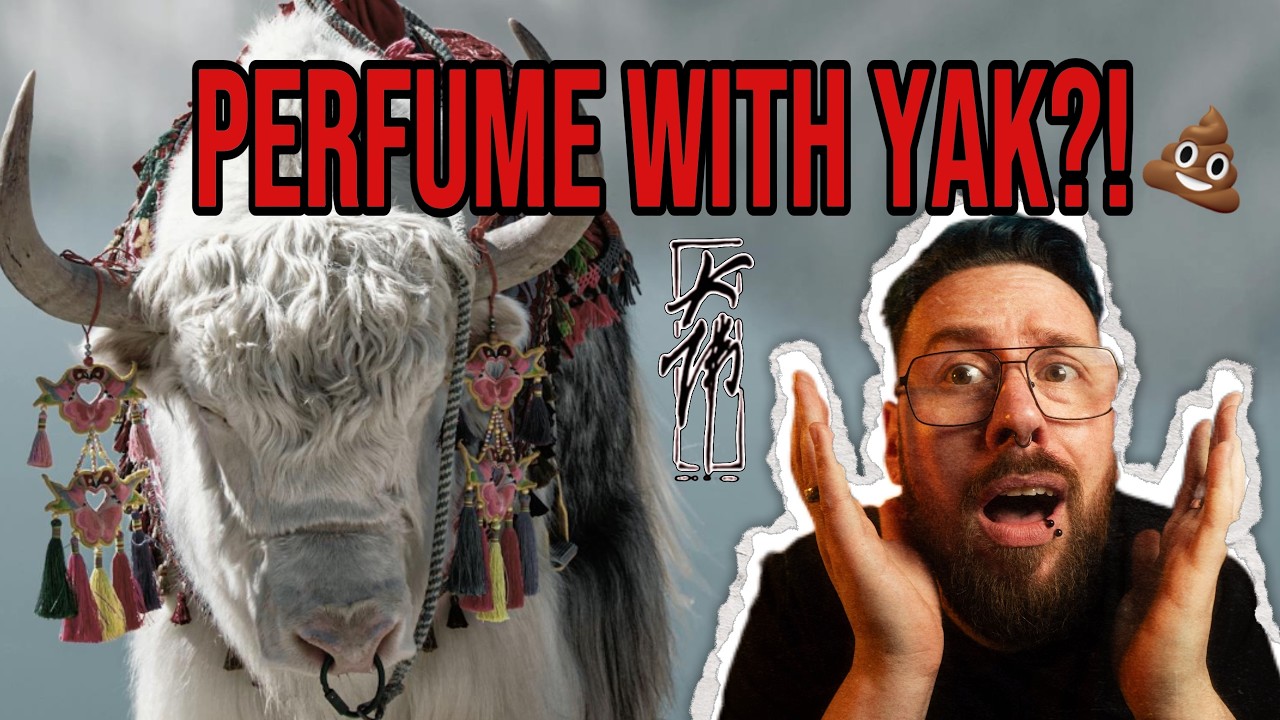 DIE chinesische Marke die du NICHT verpassen darfst! Damfool Perfume