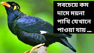 ময়না পাখির দাম কত || কোথায় পাওয়া যায় || @MilonExpressBD