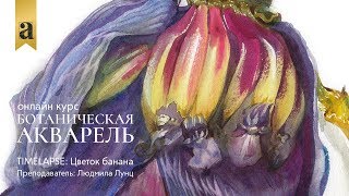 Цветок банана | Онлайн курс «Ботаническая акварель» Цветок банана | Онлайн курс «Ботаническая акварель»