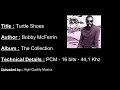 Bobby McFerrin - Turtle Shoes