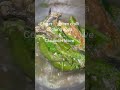 Nakam Mechi Songa Jallik Sai Eching Jimme Gasujok Cha Amung Ringamung Dakke Chajok Dryfishcurry 