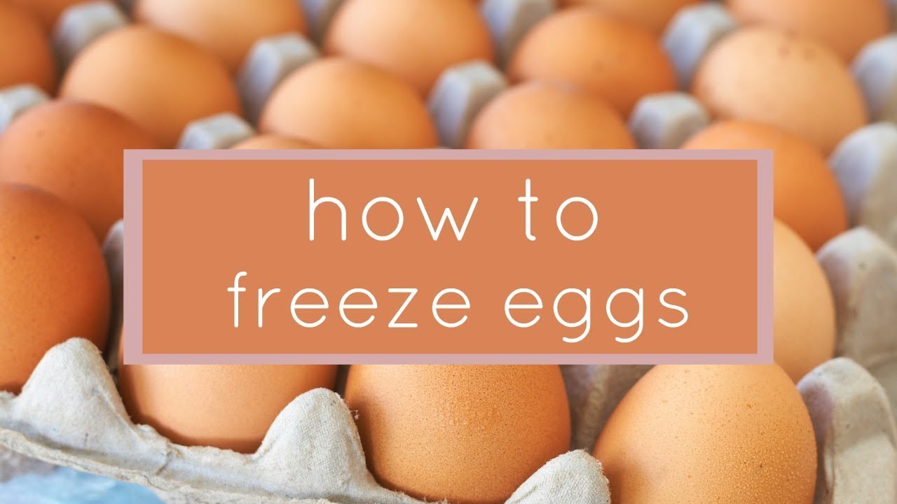 how-to-freeze-eggs-youtube