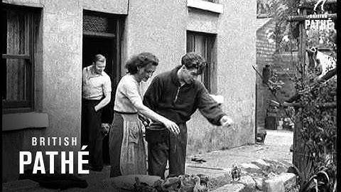 Thompson Faces Stiff Task (1949)