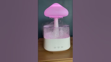 Rain Cloud Humidifier