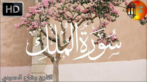 السورة المنجية من عذاب القبر |سورة الملك | تلاوة خاشعة بصوت مريح💚
