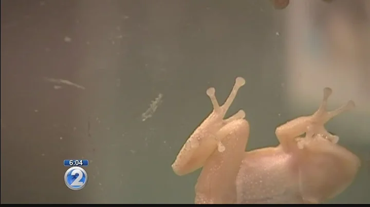 Biosecurity plan formed to protect Hawaii from invasive species