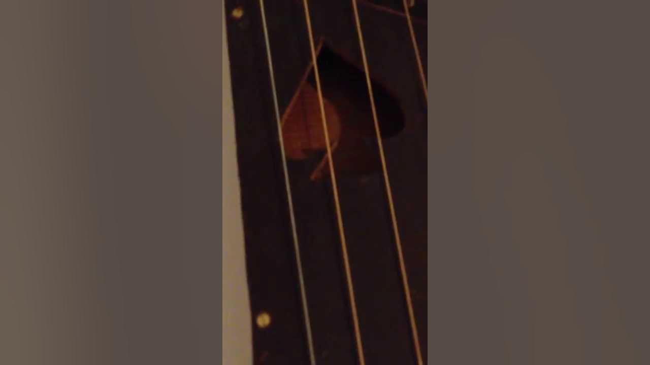 homemade zither YouTube