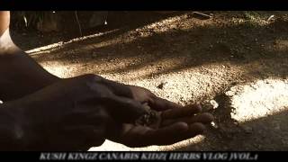 KUSH KINGZ CANABIS KIDZ (HERBS VLOG) VOL.1 TRAILER