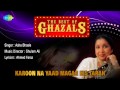 Karoon Na Yaad Magar Kis Tarah Bhulaoon Use | Ghazal Song | Asha Bhosle