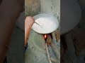 gajar ka halwa #tastyindia #food #shortvideo