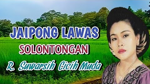 Album Jaipong Lawas Terbaik - R. Suwarsih ( Cicih Muda ) & Dartam Group - Jaipongan Populer