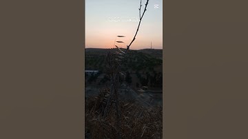 قران كريم راحه نفسيه اكتب شي تؤجر عليه ❤🥀