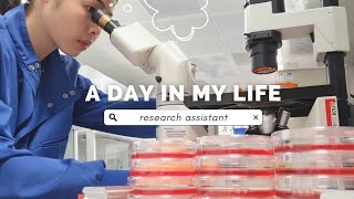 Day in the Life of a Research Assistant in Cambridge (weekend) | bacteria & stem cell culture