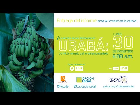 La sombra oscura del banano en Urabá: conflicto armado y el rol del empresariado