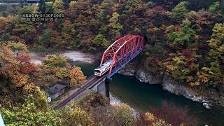 ARSGW-0130F2005 紅葉の神岡鉄道