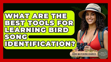 What Are The Best Tools For Learning Bird Song Identification? - Bird Watching Diaries