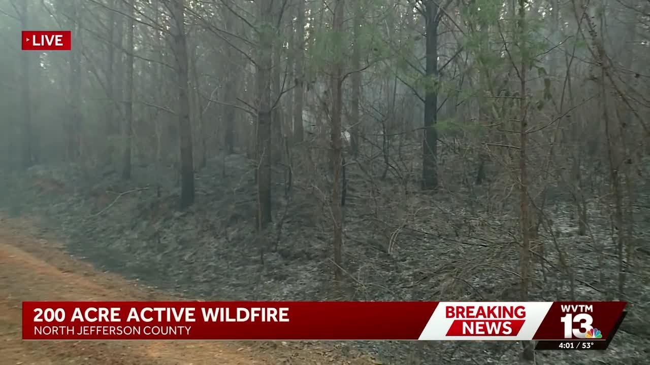 Wildfire spreads across 200 acres in Jefferson County
