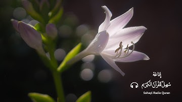 (66) تـلاوة مباركـة سورة " التحريـم " كاملة يتلوها القارئ | اسلام صبحي