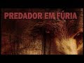 Predador em furia 2017(completo dublado )