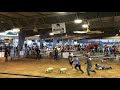 Team GCP- Rio Grande Valley Livestock Show Pig Scramble 05/14/2021
