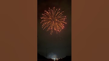 6" Red Strobe Willow #displayshells #racconfireworks #金意6寸红闪柳