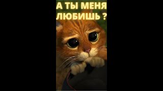 мультяшный кот #shorts