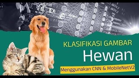 Klasifikasi Gambar Hewan dengan CNN & MobileNetV2 | Project Deep Learning di Google Colab